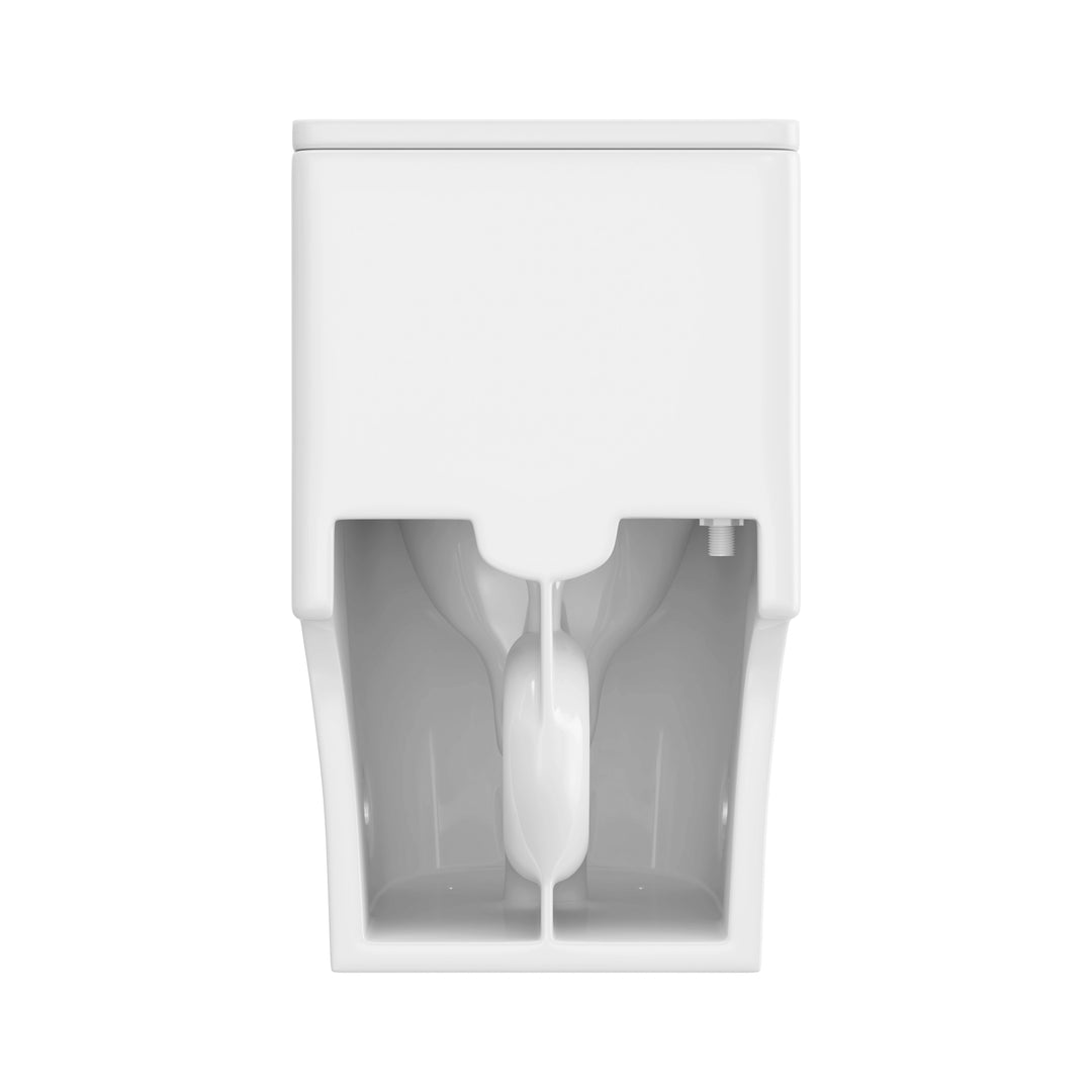 Naples 23.6" Depth 1-Piece 1.1/1.6 GPF Dual Flush Compact Chair Height Toilet in White
