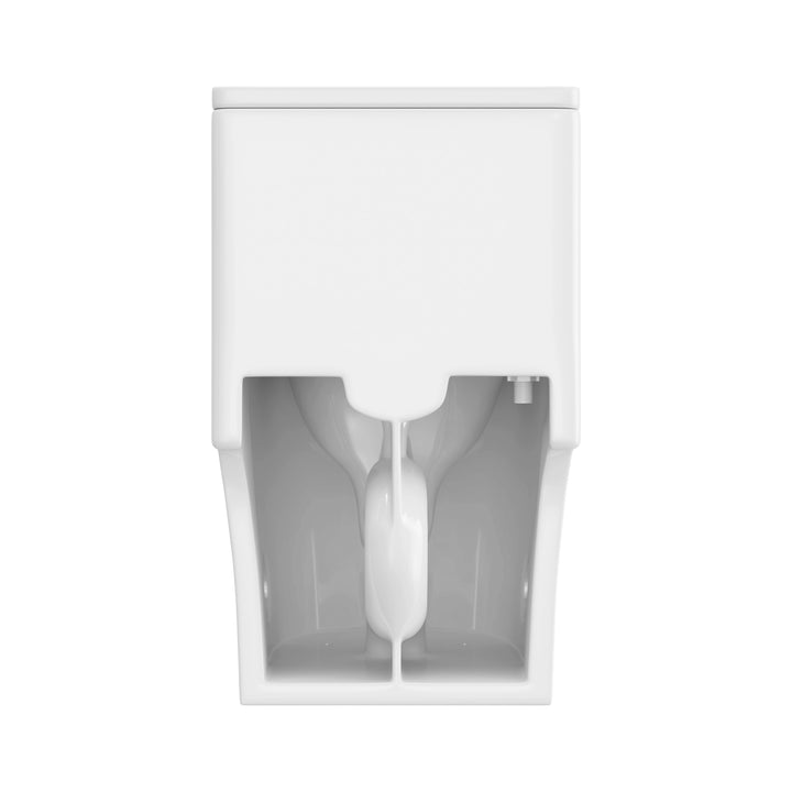 Naples 23.6" Depth 1-Piece 1.1/1.6 GPF Dual Flush Compact Chair Height Toilet in White