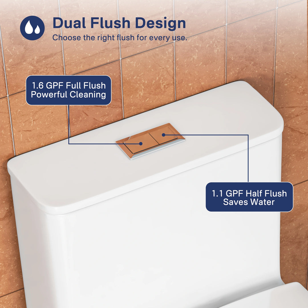 Naples 23.6" Depth 1-Piece 1.1/1.6 GPF Dual Flush Compact Chair Height Toilet in White