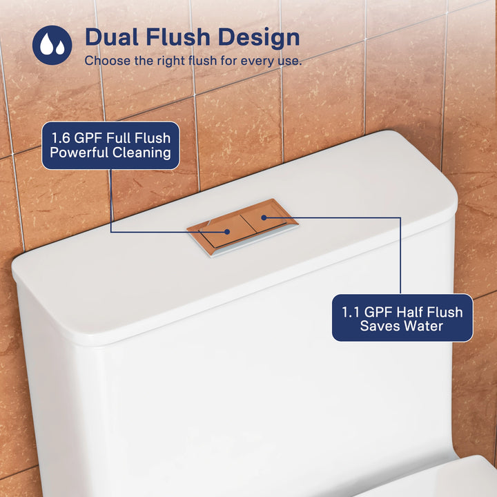Naples 23.6" Depth 1-Piece 1.1/1.6 GPF Dual Flush Compact Chair Height Toilet in White