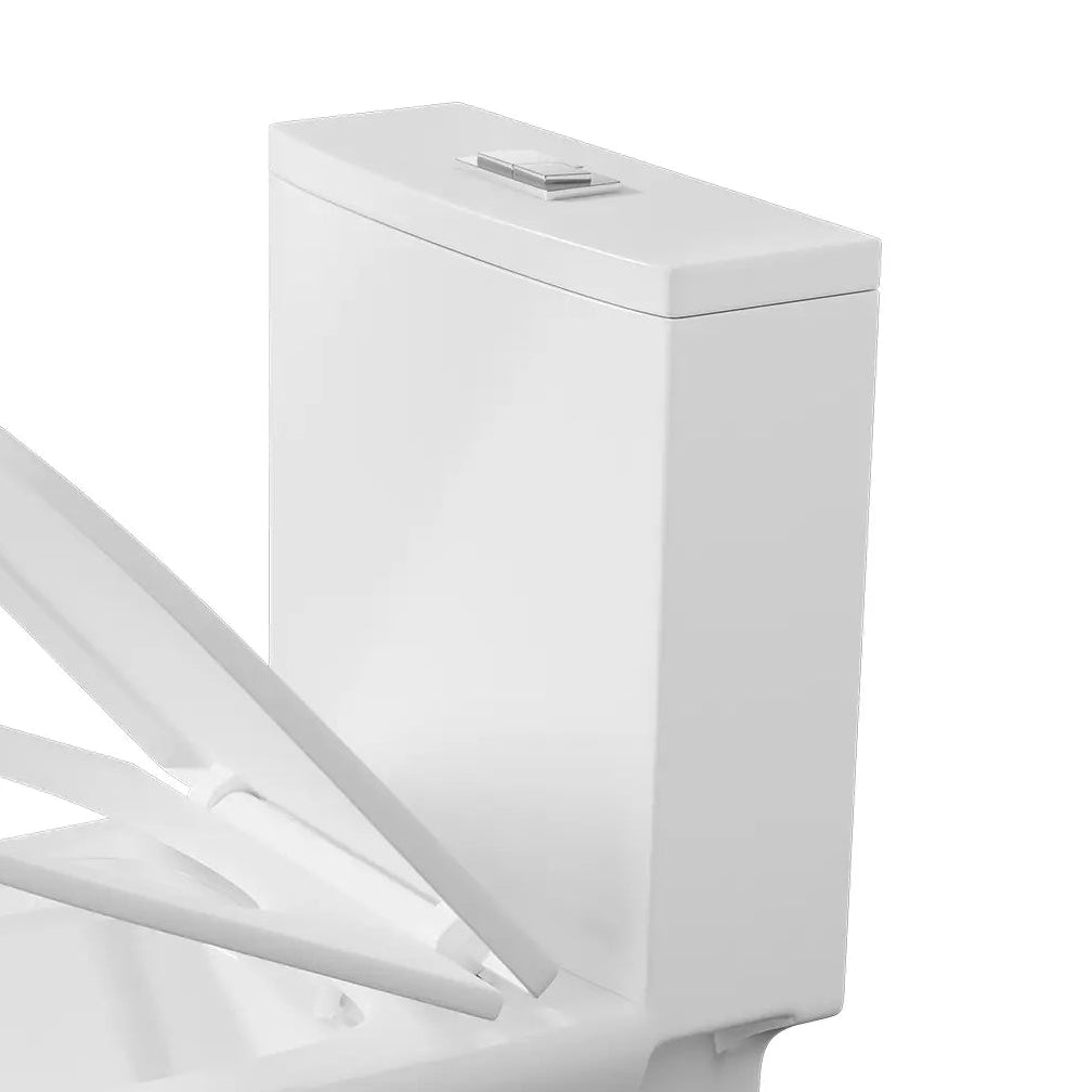White toilet tank with top-mounted chrome dual flush button.