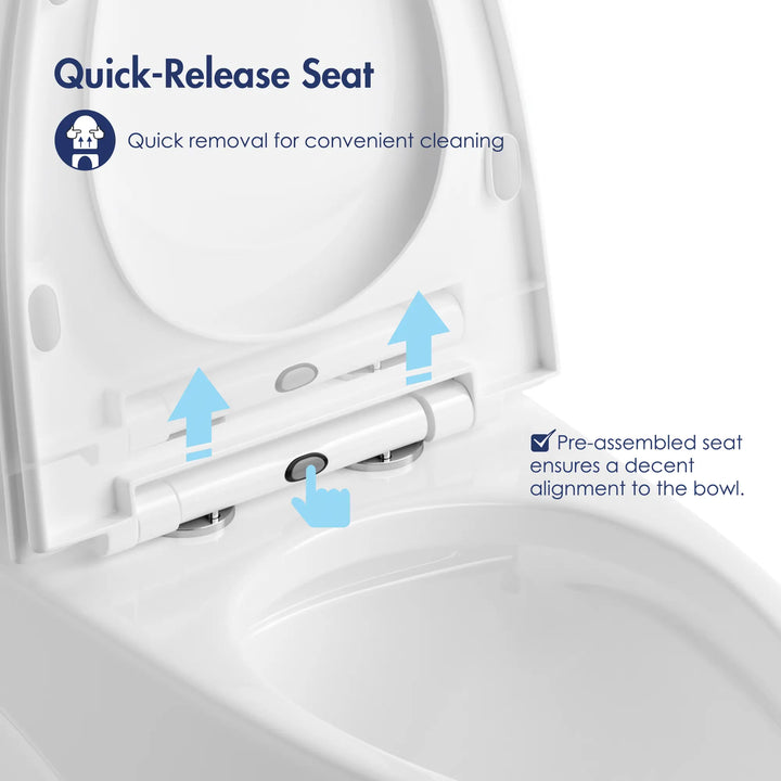 Reno One-Piece Chair Height Elongated Toilet, 1.1/1.6 GPF Dual Flush, Multiple Colors