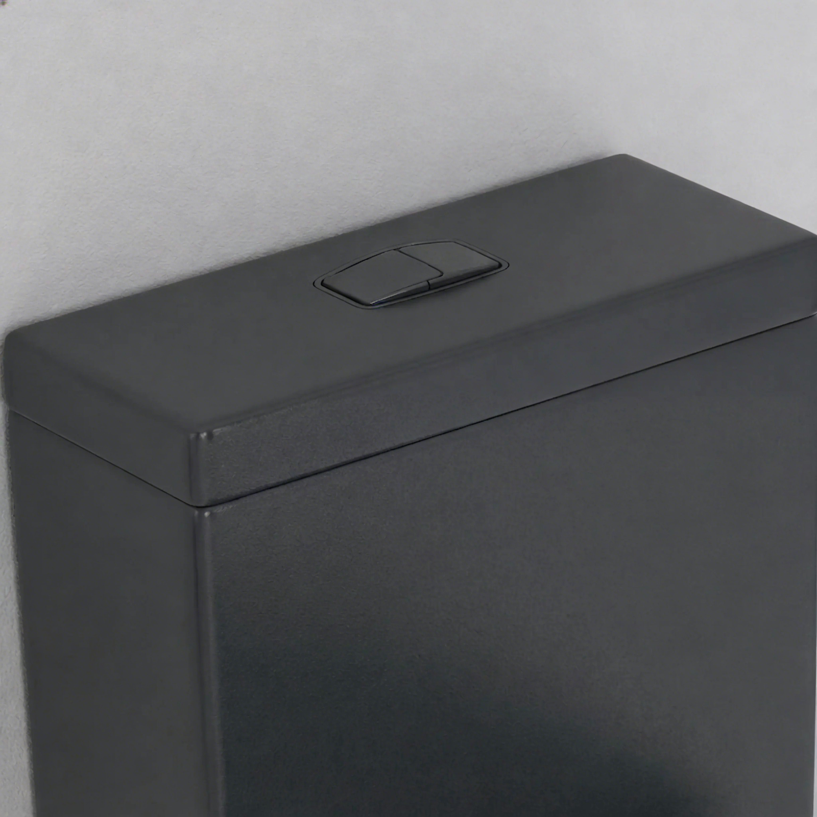 Matte black ceramic toilet tank with integrated dual flush button.