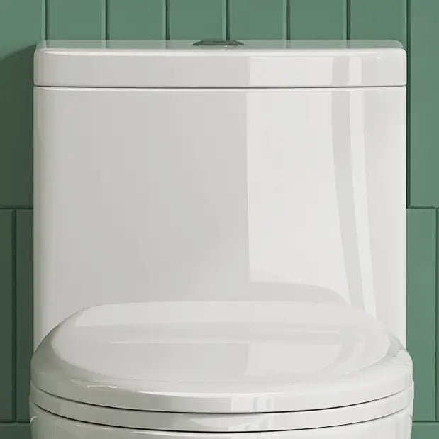White ceramic toilet tank and closed seat with top flush button.
