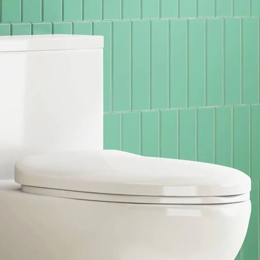 Eridanus Elongated Soft-Close Toilet Seat, Quick-Release, White – Durable & Quiet Comfort