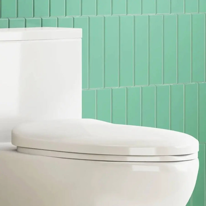 Eridanus Elongated Soft-Close Toilet Seat, Quick-Release, White – Durable & Quiet Comfort