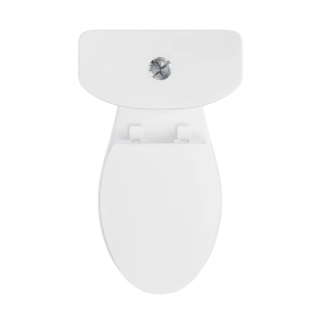 Top view of white elongated toilet with chrome dual-flush button.