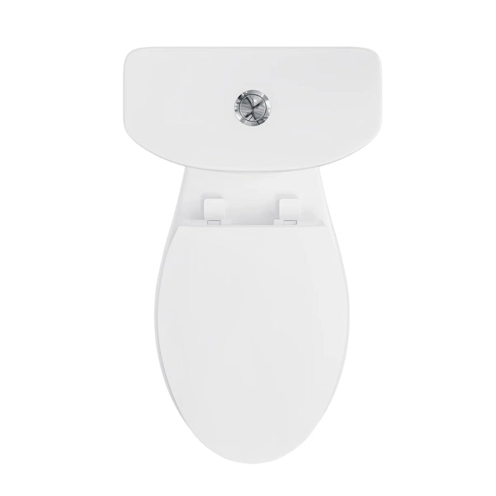 Top view of white elongated toilet with chrome dual-flush button.