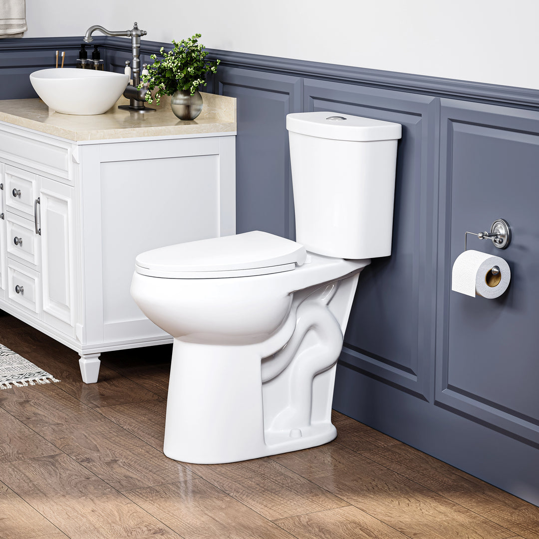 #flush-system_dual-flush