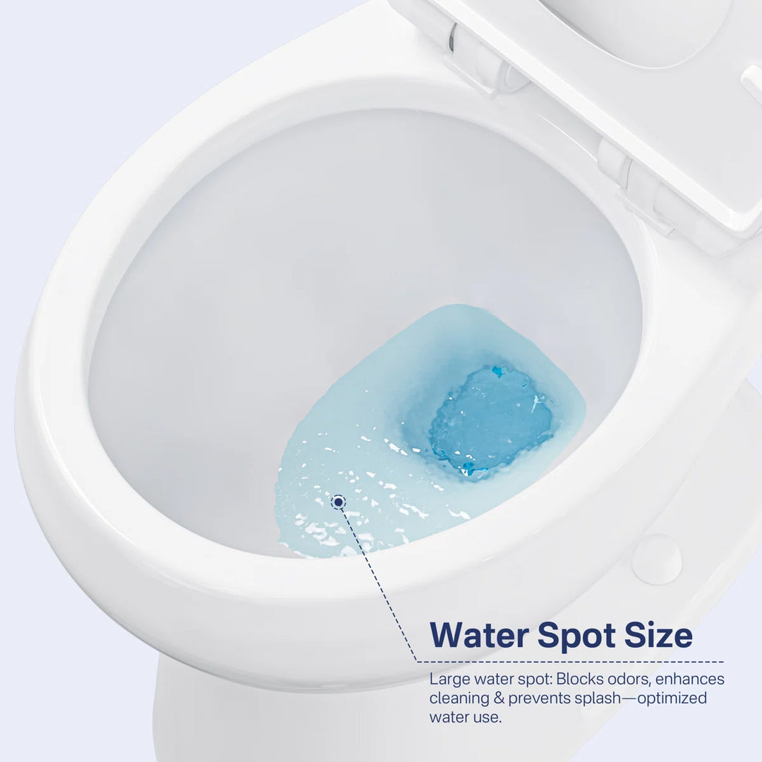 Eridanus white ceramic toilet bowl with large splash-preventing water spot.