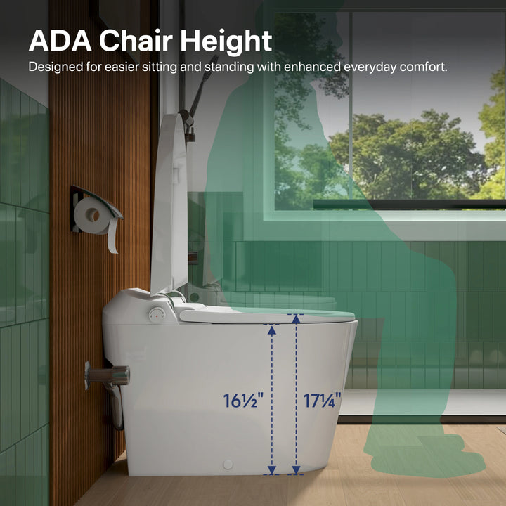 Otakou Elongated Non Electric Bidet Toilet with Air Pressure Assisted Flush, Rear and Feminine Wash