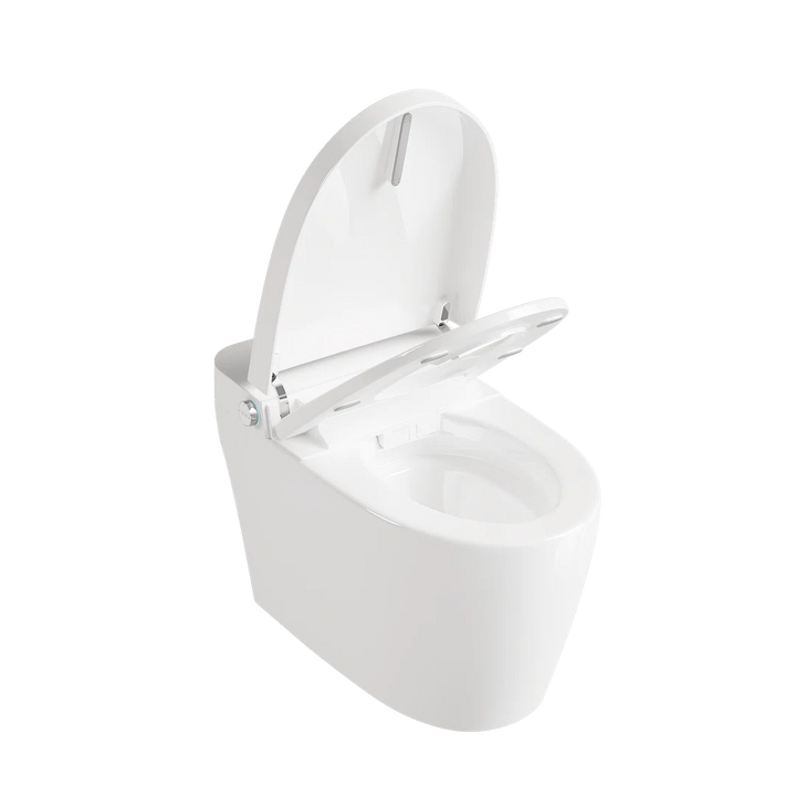 #model_standard-version