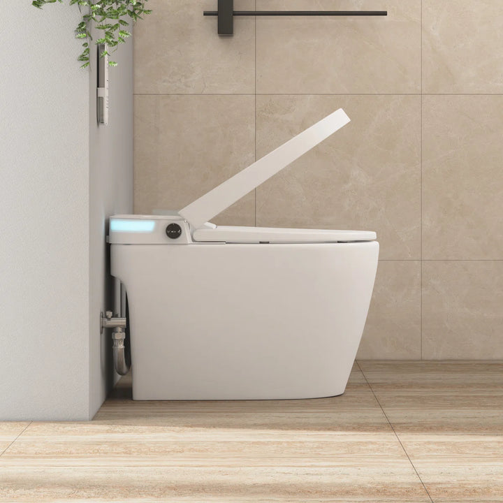 #model_bidet-wash-version