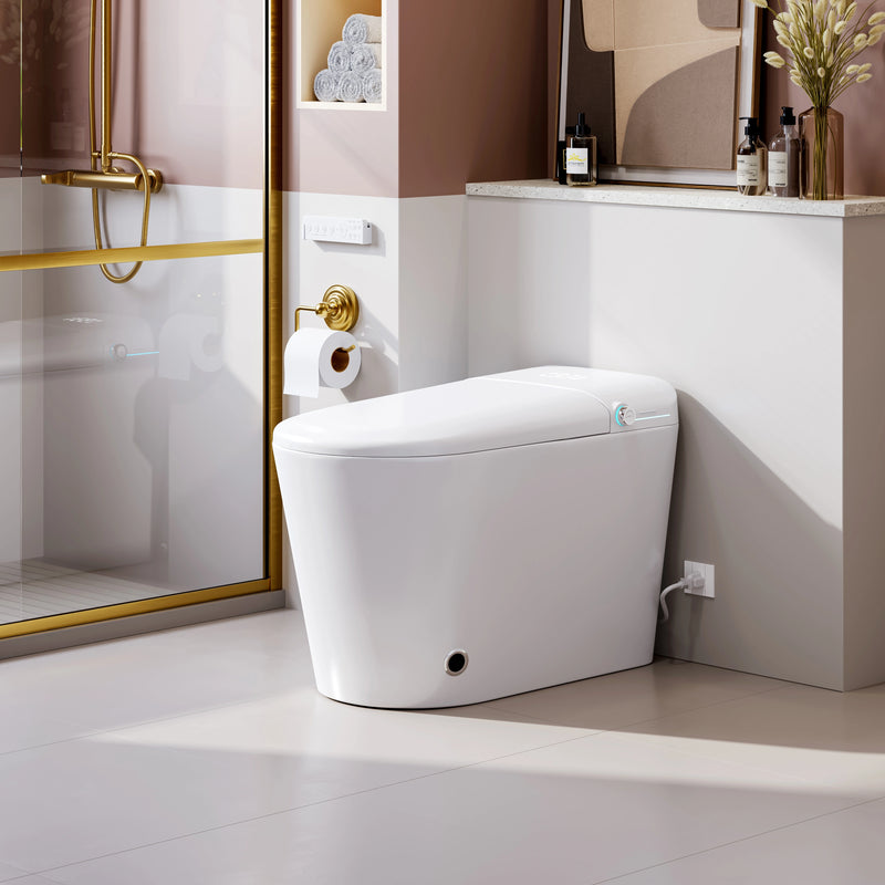 Smart Toilets