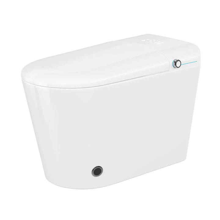 Achernar Elongated Smart Bidet Toilet with Heated Seat, Auto-Open Lid, Auto & Blackout Flush, Night Light (Remote Included)