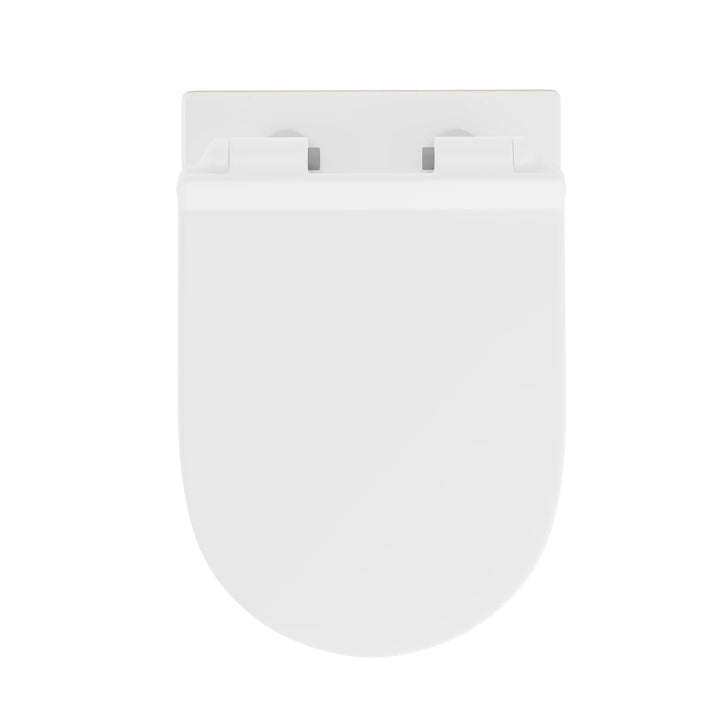 Hampton Wall-hung Elongated Toilet, 0.8/1.6 GPF Dual Flush, Multiple Colors