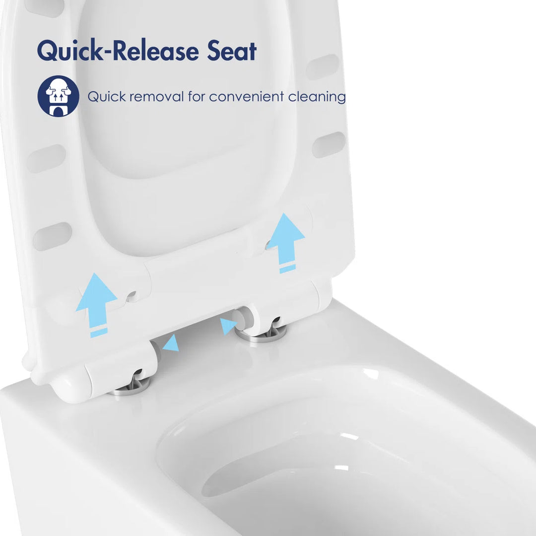 Capri Elongated Wall-Mount Rimless Toilet Bowl in White, Soft-Close Seat