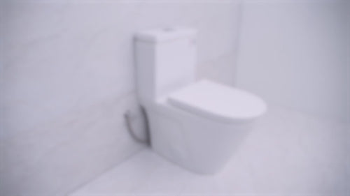 #flush-type_top-dual-flush
